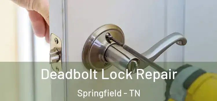 Deadbolt Lock Repair Springfield - TN