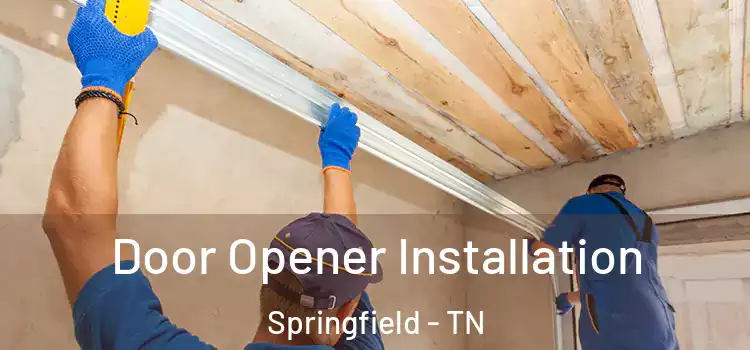 Door Opener Installation Springfield - TN