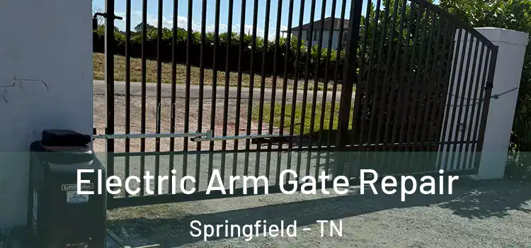 Electric Arm Gate Repair Springfield - TN