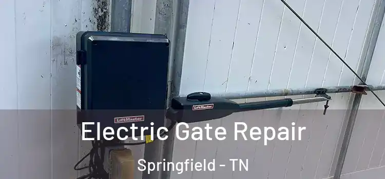 Electric Gate Repair Springfield - TN