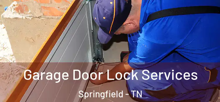 Garage Door Lock Services Springfield - TN