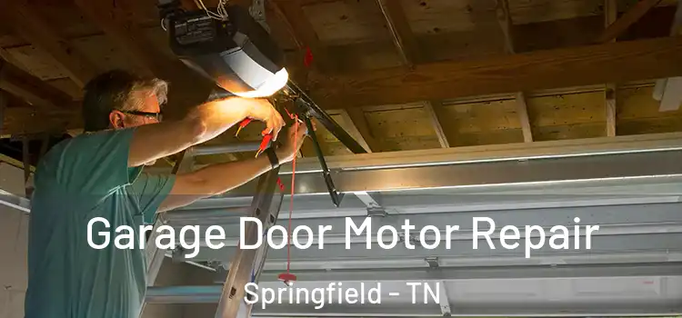  Garage Door Motor Repair Springfield - TN