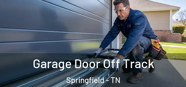  Garage Door Off Track Springfield - TN