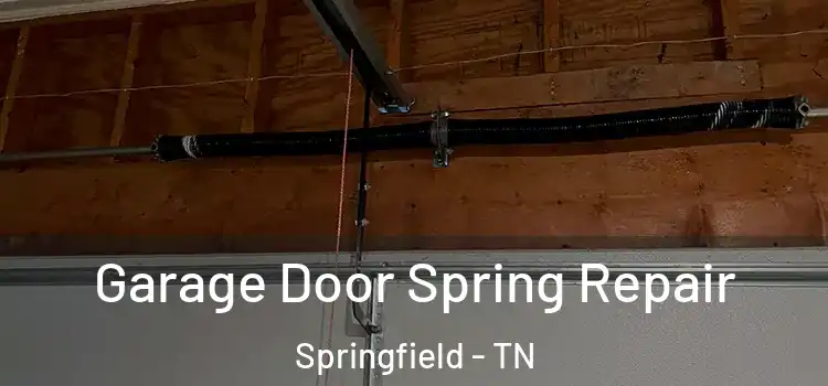  Garage Door Spring Repair Springfield - TN