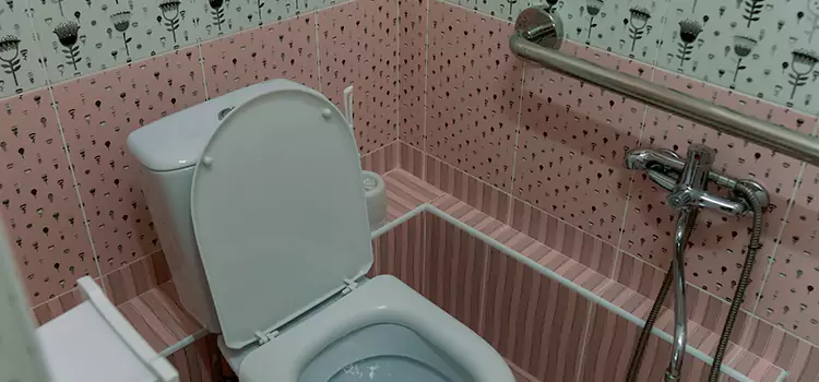 Meeting Diverse Needs With Accessible Restroom Solutions in Springfield, TN