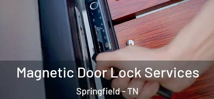 Magnetic Door Lock Services Springfield - TN