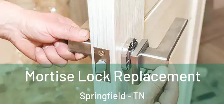 Mortise Lock Replacement Springfield - TN