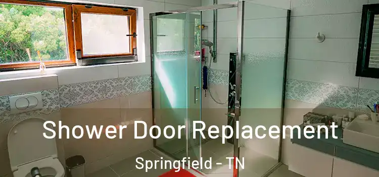 Shower Door Replacement Springfield - TN